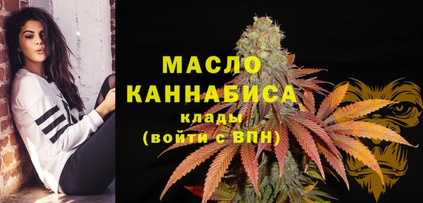 твердый Арсеньев